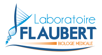 Logo Laboratoires Flaubert